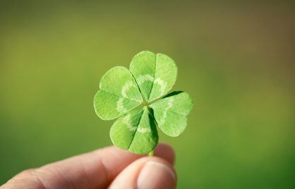 Person holding four leaf clover