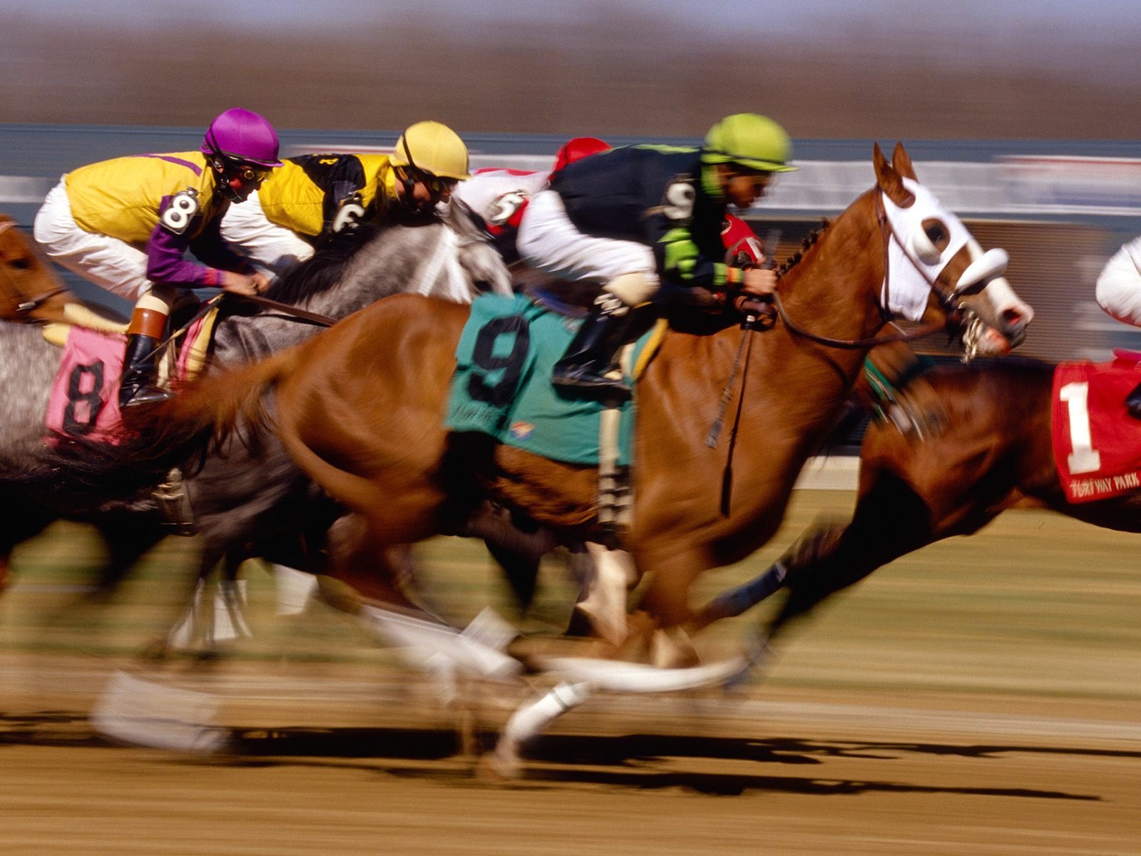 Arizona horse races wagering